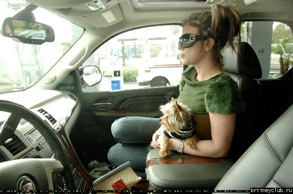Бритни с собачкой на бензоколонке13690_012.jpg(Бритни Спирс, Britney Spears)