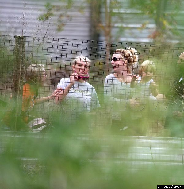 Бритни и Джейден отправились на ферму аллигаторов10.jpg(Бритни Спирс, Britney Spears)