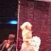 Фотографии с концерта Бритни в Хьюстоне (Фото  среднего качества)