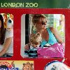 Бритни с детьми в зоопарке