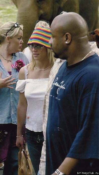 Britney в зоопарке Taronga в Сиднее, Австралия3.jpg(Бритни Спирс, Britney Spears)