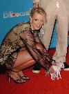 Billboard Music Awards 2004 