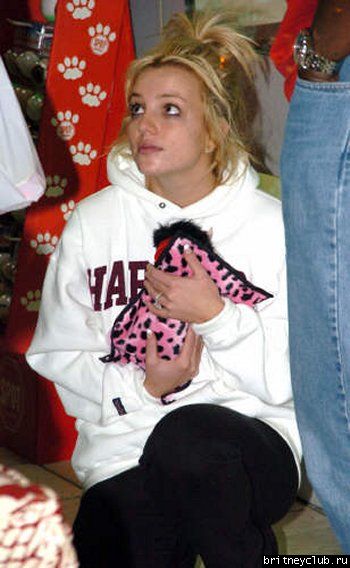 Бритни и Кевин купили нового щенкка12.jpg(Бритни Спирс, Britney Spears)