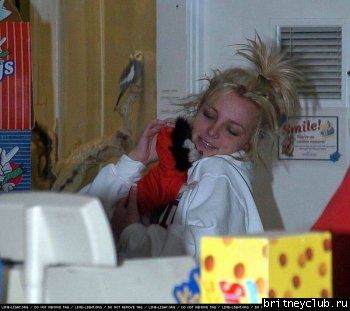Бритни и Кевин купили нового щенкка2.jpg(Бритни Спирс, Britney Spears)