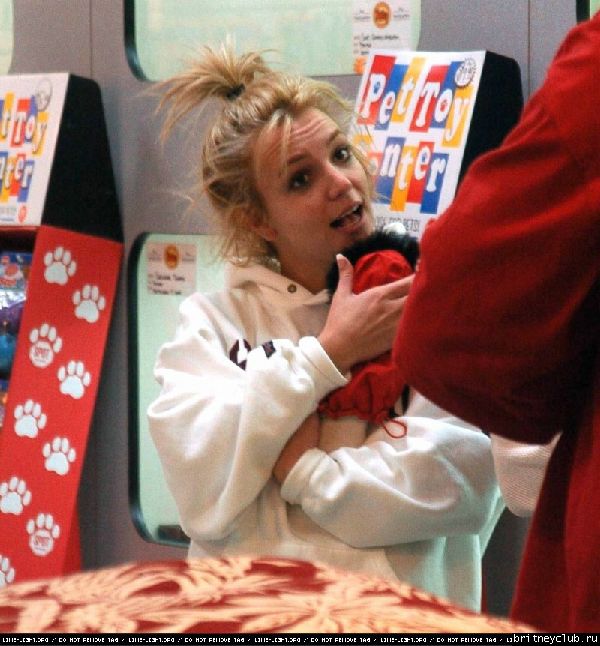 Бритни и Кевин купили нового щенккаf613912f.jpg(Бритни Спирс, Britney Spears)