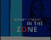 DVD "In The Zone"