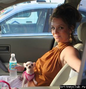 Бритни и Кевин уезжают из Флоридыbbitbit3421.jpg(Бритни Спирс, Britney Spears)