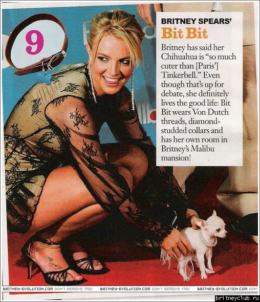 In Touch01.jpg(Бритни Спирс, Britney Spears)