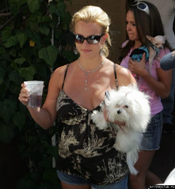 Бритни в Майямиb7.jpg(Бритни Спирс, Britney Spears)