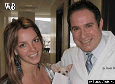 Бритни снова брюнетка???britneydoctor1bm.jpg(Бритни Спирс, Britney Spears)