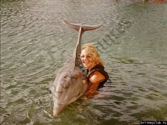 Britney Live In Havaii (2000)02.jpg(Бритни Спирс, Britney Spears)