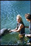Britney Live In Havaii (2000)