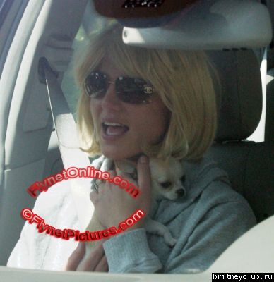 Бритни с собачкой BitBitnormal_britney-bitbit20.JPG(Бритни Спирс, Britney Spears)