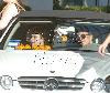 Britney уезжает из суда