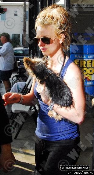 Бритни едет в зоомагазин 