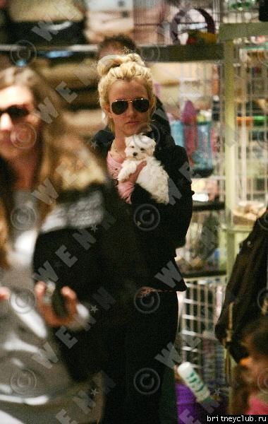 Бритни с Элли в магазине для животных2759203.jpg(Бритни Спирс, Britney Spears)