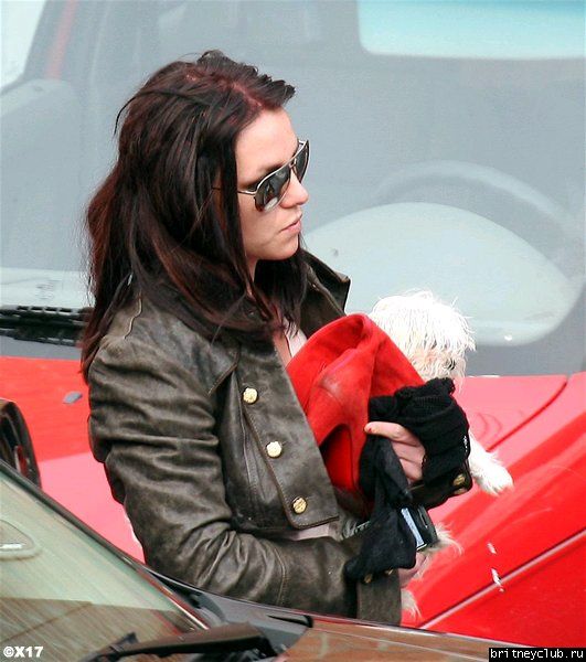 Бритни с собачкой в Millenium 1203005648739.jpg(Бритни Спирс, Britney Spears)