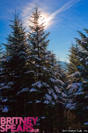Бритни со своими помощниками в Германииnormal_gallery_enlarged-tree1.jpg(Бритни Спирс, Britney Spears)