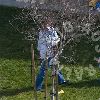 Бритни проводит время с детьми