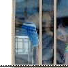 Бритни с детьми в бассеине