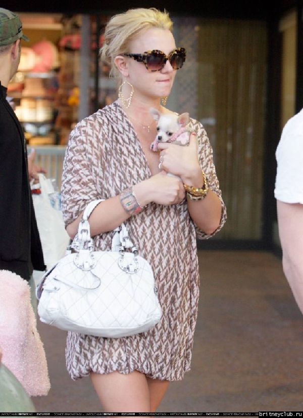 Бритни в зоомагазине24.jpg(Бритни Спирс, Britney Spears)