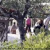 Бритни в клинике Promises Treatment