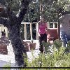 Бритни в клинике Promises Treatment