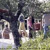Бритни в клинике Promises Treatment