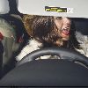 Бритни уезжает из центра  Beverly Glen