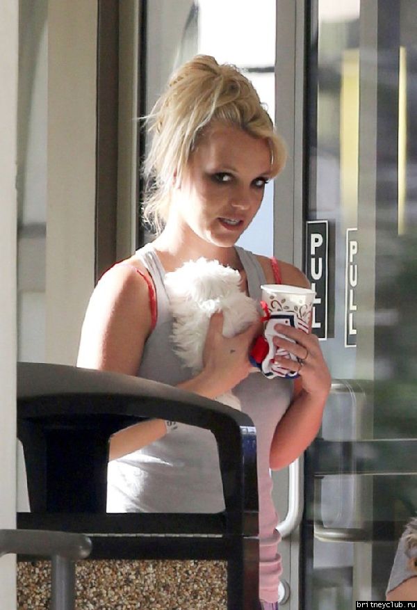 Бритни с сыновьями покидает ветеринарную клинику Barkley Pet Hotel 42.jpg(Бритни Спирс, Britney Spears)