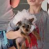 Бритни с сыновьями покидает ветеринарную клинику Barkley Pet Hotel 