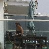 Бритни отдыхает у подруги в Малибу