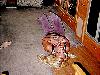 MTV Britney
