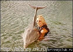 Бритни на Гаваях27.jpg(Бритни Спирс, Britney Spears)