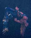 D.W.D. tour Toronto, Canada  (5 ноября 2001 года)