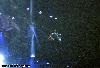 D.W.D. tour Denver, Colorado (12 ноября 2001 года)