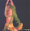 D.W.D. tour Chicago, IL (28 ноября 2001 года)